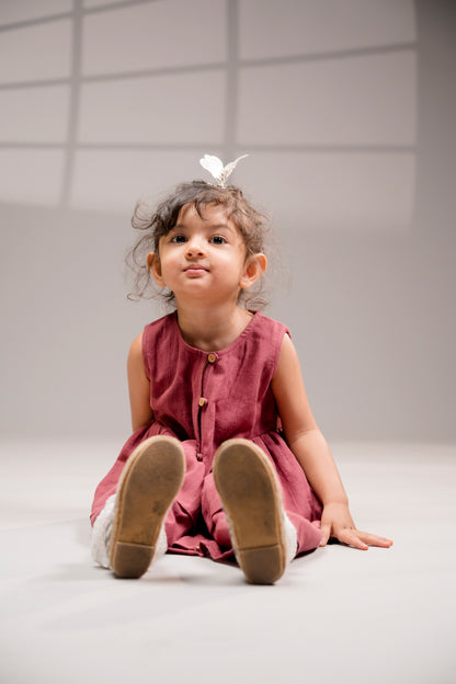 Berry Parade Dress